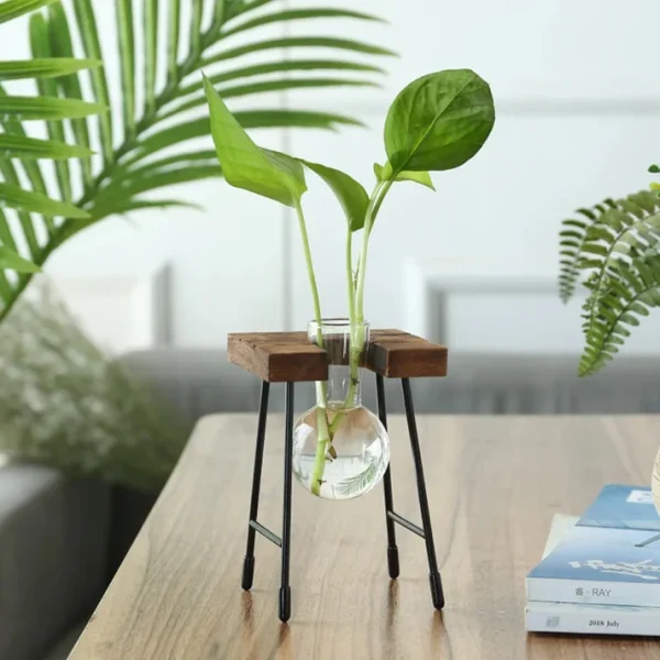 Plant-01