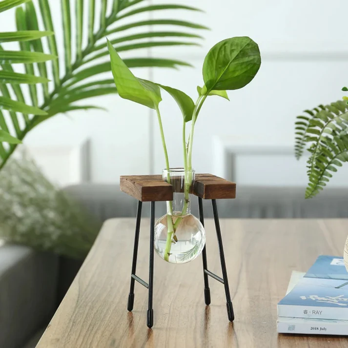 Plant-01