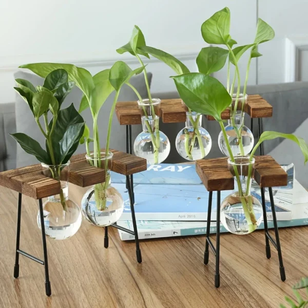 Plant-02