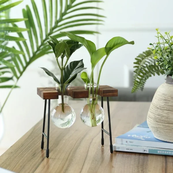 Plant-03