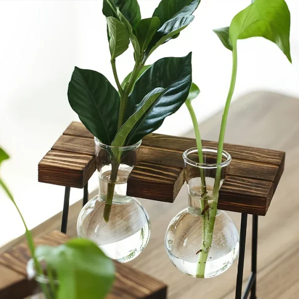 Plant-04